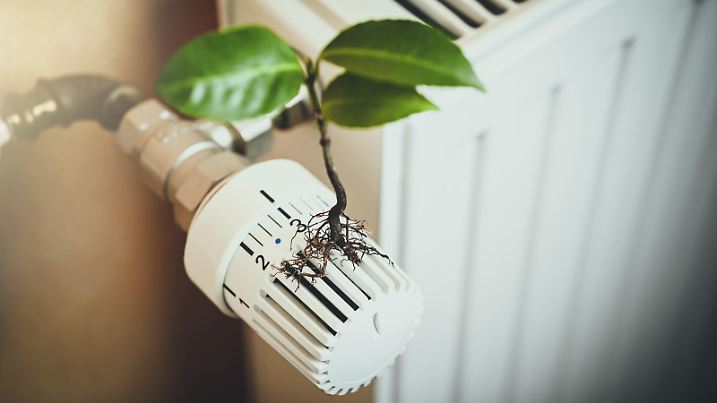 Pflanze wächst aus einem Heizungsthermostat, Symbolfoto für nachhaltiges Heizen und Klimaschutz