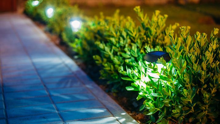 Small Solar Garden Light, Lanterns In Flower Bed. Garden Design. Solar Powered Lamp
