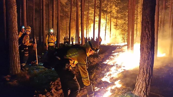 19.06.2022, Brandenburg, Beelitz: Einsatzkräfte der Hilfsorganisation @fire legen Gegenfeuer, um eine weitere Ausbreitung des Waldbrandes zu verhindern und die Feuerwehr bei der Bekämpung des Feuers zu unterstützen. Der Waldbrand bei Beelitz (Potsdam-Mittelmark) ist nach Angaben von Bürgermeister Bernhard Knuth (parteilos) unter Kontrolle. Foto: Cevin Dettlaff/dpa-Zentralbild/dpa +++ dpa-Bildfunk +++