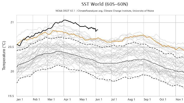 Global gemittelte Meeresoberflächentemperatur für die Jahre 1981 (Messbeginn) bis 2023 zeigt, dass wir im aktuellen Jahr seit März auf Rekordniveau liegen.