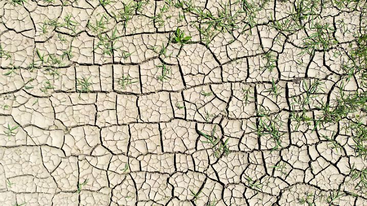 ABD0066_20220621 - ST. LEONHARD AM FORST - ÖSTERREICH: ++ THEMENBILD ++ Illustration zu den Themen Hitze / Trockenheit / Dürre / Klimawandel. Im Bild: Ein ausgetrocknetes Feld aufgenommen am Dienstag, 21. Juni 2022, in der Nähe von St. Leonhard. - FOTO: APA/HELMUT FOHRINGER - 20220621_PD4390