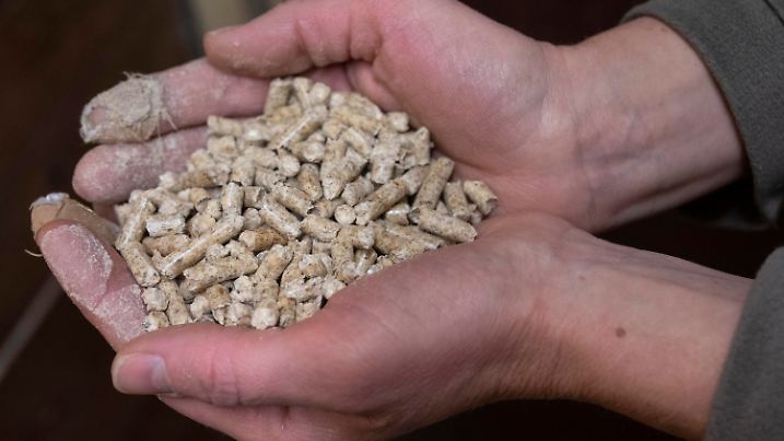 ARCHIV - 04.01.2023, Nordrhein-Westfalen, Frille: Eine Frau hält Holzpellets im Keller eines Wohnhauses in den Händen. Der Städte- und Gemeindebund hat dazu aufgerufen, bei der Energiewende weiter auch auf Holz zu setzen (zu dpa «Städte- und Gemeindebund bricht Lanze fürs Heizen mit Holz») Foto: Boris Roessler/dpa +++ dpa-Bildfunk +++