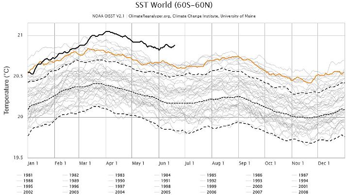 Global gemittelte Meeresoberflächentemperatur seit 1981 mit Rekordwerten seit März 2023.