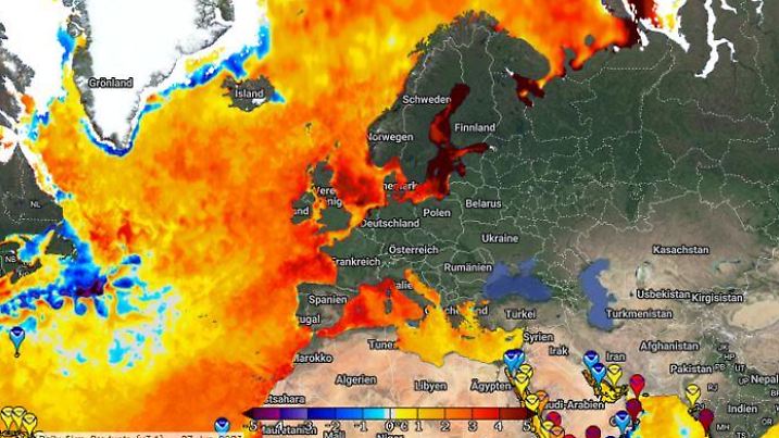 Die Grafik zeigt die Unterschiede der Wassertemperaturen zu den normalen Werten. Bildquelle: https://coralreefwatch.noaa.gov/product/vs/map.php