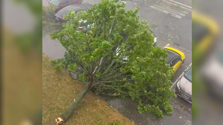 Tornado sorgt für große Schäden über Hessen: Schweres Unwetter wütet über Rüsselsheim am Main - Deutscher Wetterdienst bestätigt Tornado, der mit über 130 Stundenkilometer durch Stadtteil gezogen ist - Dach von Mehrfamilienhaus abgerissen, Trümm Es sind große Schäden, die ein schweres Unwetter am Abend in Rüsselsheim am Main angerichtet hat. *** Tornado causes major damage over Hesse Severe storm rages over Rüsselsheim am Main German weather service confirms tornado that passed through district at over 130 kilometers per hour Roof of apartment building torn off, debris There is major damage caused by a severe thunderstorm in Rüsselsheim am Main in the evening Copyright: xEinsatz-Report24x/xFabianxGeierx