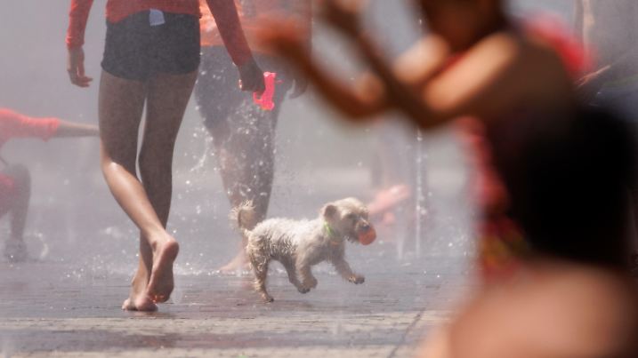 26.06.2023, Spanien, Madrid: Ein Hund spielt im Wasser und sucht dadurch Abkühlung an einem heißen Sommertag. In der spanischen Hauptstadt, wo es derzeit nachts lediglich auf 22 oder 23 Grad «abkühlt», sah man mittags nur wenige Menschen auf den Straßen. Foto: Eduardo Parra/EUROPA PRESS/dpa +++ dpa-Bildfunk +++