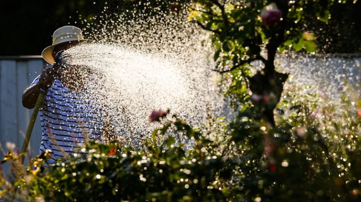 ARCHIV - 18.07.2022, Niedersachsen, Hannover: Eine Frau gießt mit Wasser aus einer Grundwasserpumpe ein Blumenbeet. Aufgrund der Trockenheit und der angespannten Grundwassersituation gibt es in immer mehr Regionen Auflagen für den Wasserverbrauch. Bei Verstößen gegen die Regelung drohen teils hohe Strafen.(zu dpa: «Bewässerung jetzt auch in Region Hannover eingeschränkt») Foto: Julian Stratenschulte/dpa +++ dpa-Bildfunk +++