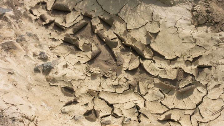 Trockenheit in Andalusien