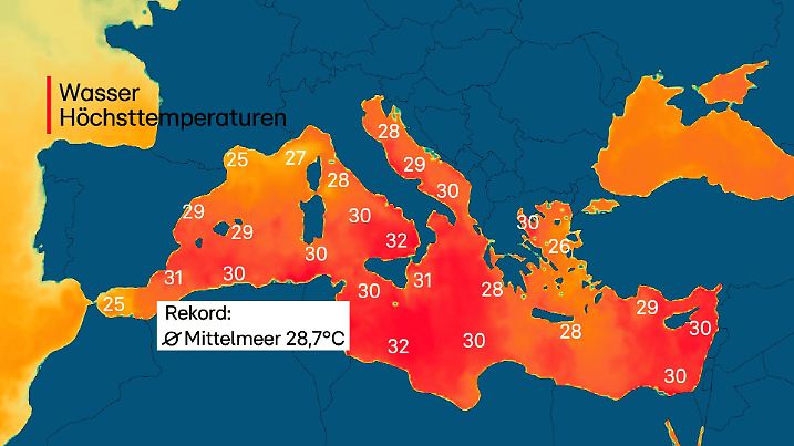 wassertemperatur mittelmeer.png