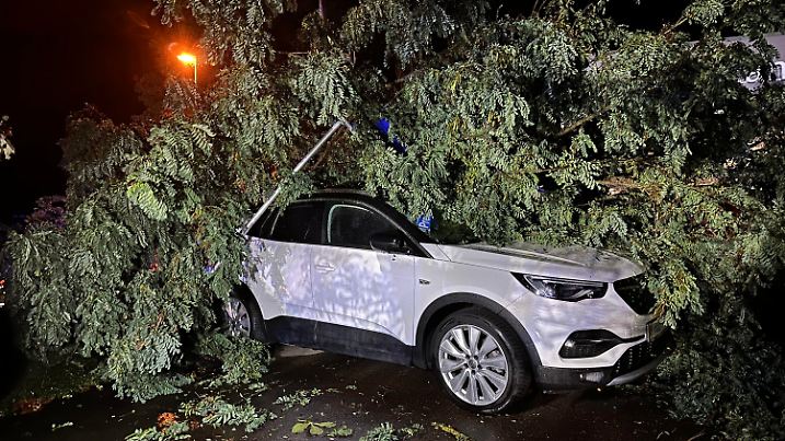 24.08.2023, Baden-Württemberg, Sigmaringen: Ein umgestürzter Baum liegt nach einem Unwetter auf einem Auto. Ein Unwetter mit kräftigem Regen ist am Abend vor allem über Bayern und Baden-Württemberg hinweggezogen. Foto: David Pichler/dpa +++ dpa-Bildfunk +++