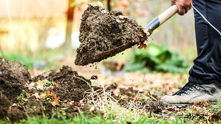 Worker digs soil with shovel in colorfull garden, workers loosen black dirt at farm, agriculture concept autumn detail. Man boot or shoe on spade prepare for digging."n"n