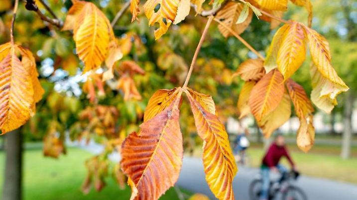Herbst in Hannover