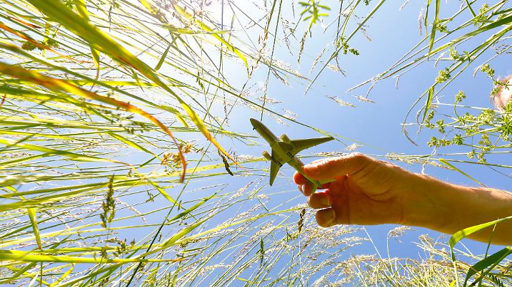 Miniature airplane model over a blooming meadow.