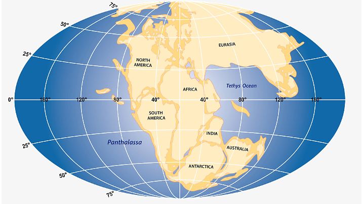 Vector graphic of the land mass of the supercontinent Pangea