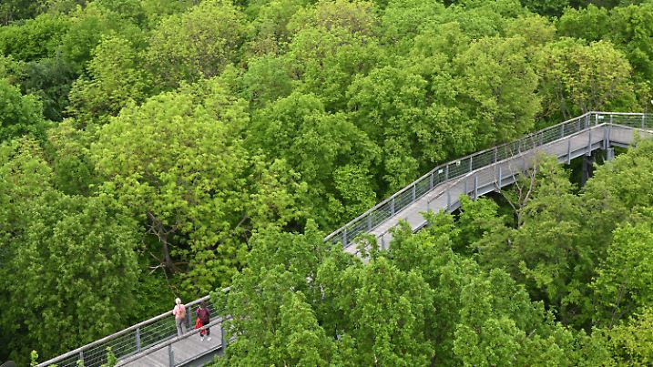 ARCHIV - 16.05.2022, Thüringen, Schönstedt: Besucherinnen gehen über den Baumkronenpfad im Nationalpark Hainich unweit von Bad Langensalza. Der Nationalpark gehört seit 2011 zur Welterbestätte "Buchenurwälder der Karpaten und alte Buchenwälder Deutschlands". (Zu dpa "Debatten um deutsche Nationalparks: Mehr Platz für die Natur?") Foto: Martin Schutt/dpa +++ dpa-Bildfunk +++