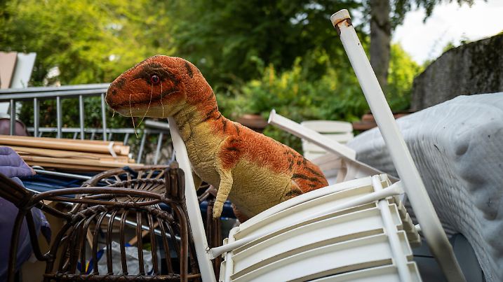 An abandoned old dinosaur toy.
