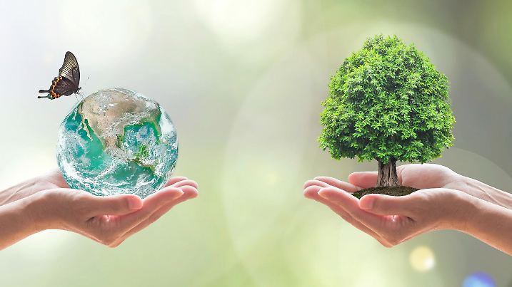 Sustainable environment and saving energy concept with green earth and tree planting on volunteers' hands. Element of the image furnished by NASA