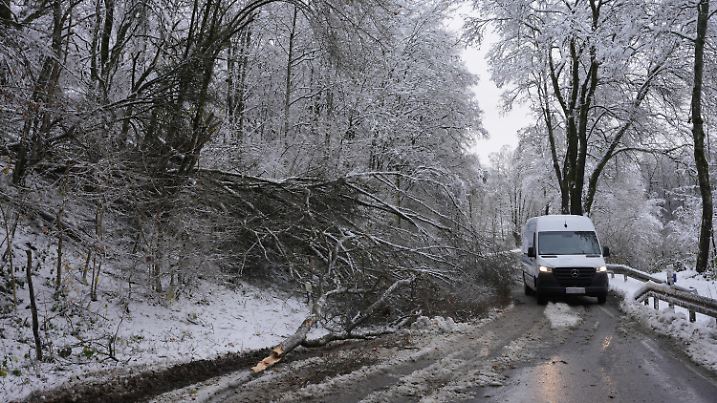 28.11.2023, Rheinland-Pfalz, Westerburg: Umgestürzte Bäume blockieren eine Straße im Westerwald. Der Wintereinbruch hat in Teilen von Rheinland-Pfalz und dem Saarland für Unfälle und Beeinträchtigungen auf den Straßen gesorgt. Vor allem in höheren Landesteilen führten umgestürzte Bäume, Glätte und Schnee zu Problemen. Foto: Thomas Frey/dpa +++ dpa-Bildfunk +++