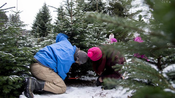 ARCHIV - 10.12.2017, Aying: Ein Vater schlägt mit seiner Tochter im Schnee einen Christbaum in Aying (Bayern). (zu dpa «Wintereinbruch bremst Geschäft mit Weihnachtsbaum») Foto: Amelie Geiger/dpa +++ dpa-Bildfunk +++