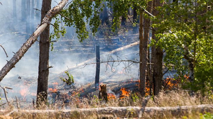 Waldbrand in Jüterbog breitet sich auf 150 Hektar aus, Bei dem Waldbrand bei Jüterbog verschärfte der aufkommende Wind und die warmen Temperaturen am Wochenende die Lage am Brandort. Das Feuer hatte sich bis zum Sonntagnachmittag auf ca. 150 Hektar ausgedehnt. Die Feuerwehr Jüterbog war mit zahlreichen Kräften im Einsatz und löschte vom Weg aus partiell die Brandherde ab, nach wie vor kann die Feuerwehr nur eingeschränkt vom Boden aus löschen, aufgrund der vorhandenen Munitionsverdachtsflächen auf dem gesamten Gebiet. Jüterbog Brandenburg Deutschland *** Forest fire in Jüterbog spreads to 150 hectares, In the forest fire near Jüterbog, the emerging wind and warm temperatures at the weekend exacerbated the situation at the site of