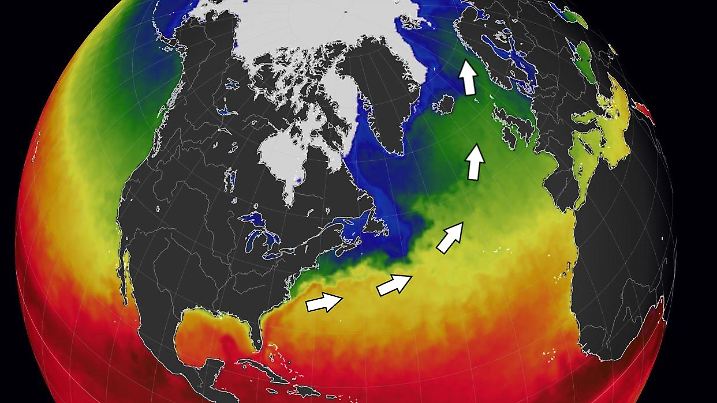Die Meeresoberflächentemperaturen am 17.01.2024 geben gut den Verlauf der Meeresströmungen wieder
