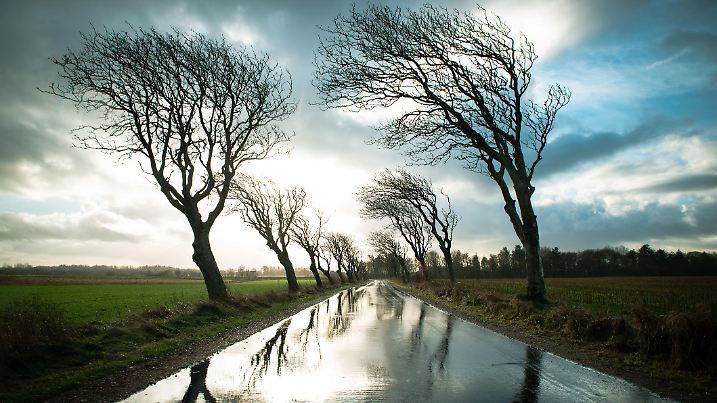 Road with trees in a stormy weather with rain and wind, empty street in Romo, Denmark in the winter, dark dramatic clouds