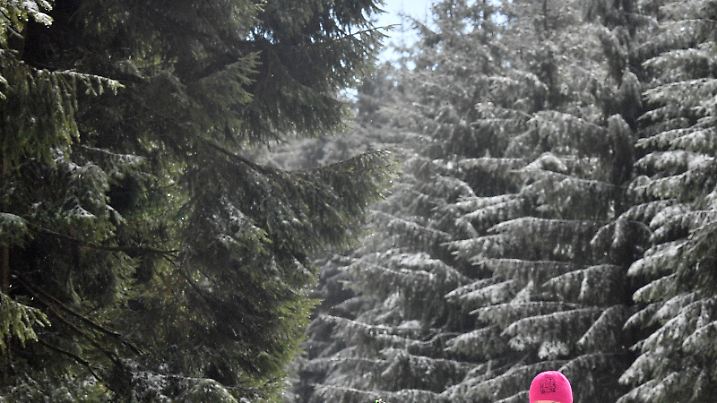 Langläufer sind am 10.03.2017 in der Kammloipe Mühlleithen bei Klingenthal (Sachsen) unterwegs. Die Loipe über den Kamm des Vogtlandes und des Erzgebirges erweist sich auch im März noch als beliebtes Ausflugsziel für Wintersportler. Foto: Hendrik Schmidt/dpa-Zentralbild/dpa +++(c) dpa - Bildfunk+++