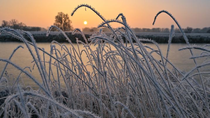 15.02.2023, Brandenburg, Lebus: Farbenprächtig leuchtet der Sonnenaufgang über der Landschaft am deutsch-polnischen Grenzfluss Oder. Die Pflanzen sind mit Raureif überzogen. Wechselhaftes Wetter erwartet die Menschen am Mittwoch in Berlin und Brandenburg. Dabei bleibt es tagsüber mild, wie der Deutsche Wetterdienst mitteilte. Demnach beginnt der Tag mit einigen Wolken, die sich im Laufe des Tages verziehen und der Sonne Platz machen. Die Höchsttemperaturen liegen zwischen sieben und elf Grad. In der Nacht auf Donnerstag bliebt es regenfrei und kühlt kräftig ab - auf Temperaturen zwischen minus einem und zwei Grad. Foto: Patrick Pleul/dpa +++ dpa-Bildfunk +++