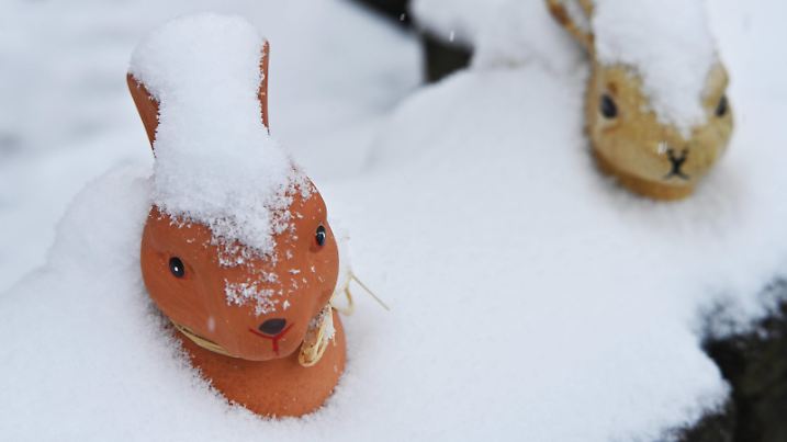  Osterdekorationen im Schnee DEU, Deutschland, Iserlohn: Der Neuschnee am 1. April verzaubert Pflanzen und Osterdekorationen. DEU, Germany, Iserlohn: The fresh snow on April 1 enchants plants and Easter decorations. NRW *** Easter decorations in the snow DEU, Germany, Iserlohn The fresh snow on April 1 enchants plants and Easter decorations NRW