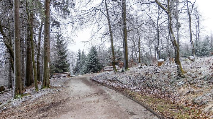 Winterwetter im Taunus Die Lanschaft rund um den Großen Feldberg zeigt sich bei einer dünnen Schneedecke und Raureif am heutigen Sonntag wieder winterlich., Schmitten Hessen Deutschland *** Winter weather in the Taunus The landscape around the Großer Feldberg is wintry again this Sunday with a thin blanket of snow and hoar frost , Schmitten Hessen Germany