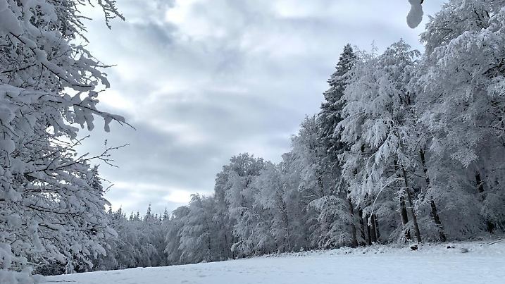 Schnee Eifel Frost Klte Eis frostig