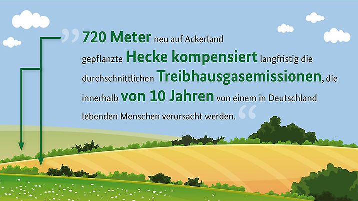 Hecken als Klimaschuetzer 979x979.jpg