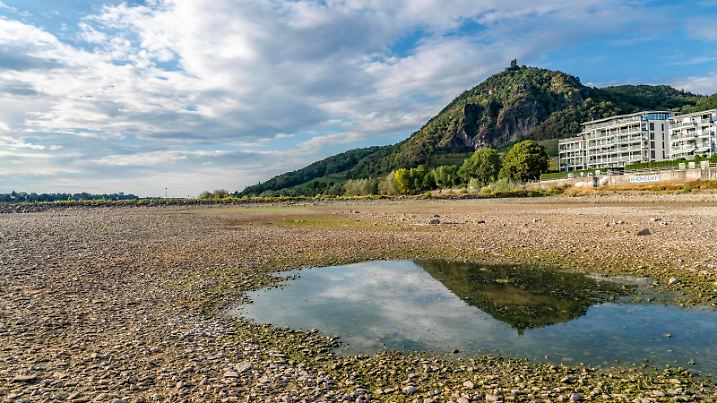  Der Rhein bei extremen Niedrigwasser, bei Bad Honnef Rhöndorf, unterhalb des Drachenfels, Insel Nonnenwerth, trocken gefallene Rheinufer, NRW, Deutschland, Niedrigwasser Rhein *** The Rhine at extreme low water, near Bad Honnef Rhöndorf, below Drachenfels, Nonnenwerth Island, Rhine banks gone dry, NRW, Germany, Low Water Rhine