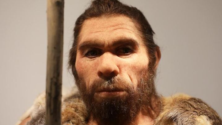 Neandertaler-Nachbildung im LVR-Landesmuseum, Foto: Oliver Berg/dpa