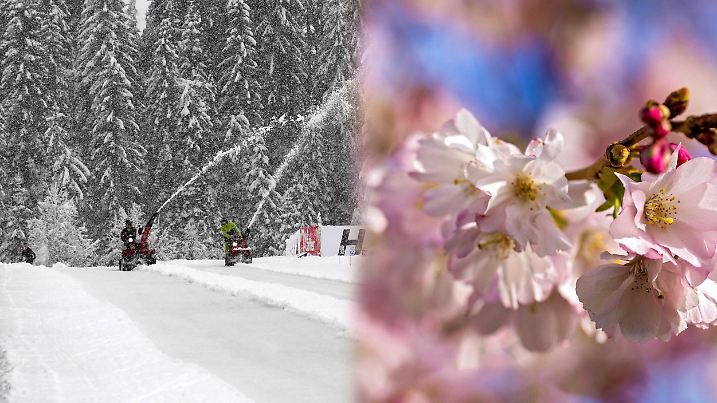 In der Natur ist der Frühling längst da. der Winter gibt sich aber noch nicht ganz geschlagen.