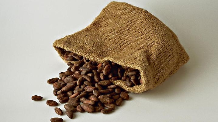 Ein Sack mit Kakaobohnen.