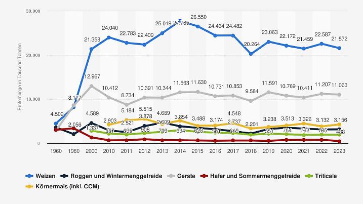 Roggen spielt noch eine untergeordnete Rolle bei der Getreideproduktion. Das kann sich mit dem Klimawandel ändern.