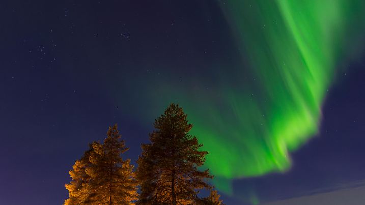 Aurora over trees in wintertime in Kuusamo, Finland, Aurora over trees in wintertime in Kuusamo, Finland., Aurora over trees in wintertime in Kuusamo, Finland., 08.03.2023, Copyright: xRicoKx Panthermedia33753265.jpg