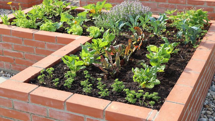 gartenbeet,gemüsebeet,hochbeet,beet,beete,gartenbeete,gemüsebeete ** flower bed,vegetable garden,raised bed,flower beds,vegetable gardens,raised beds 4pk-ge8