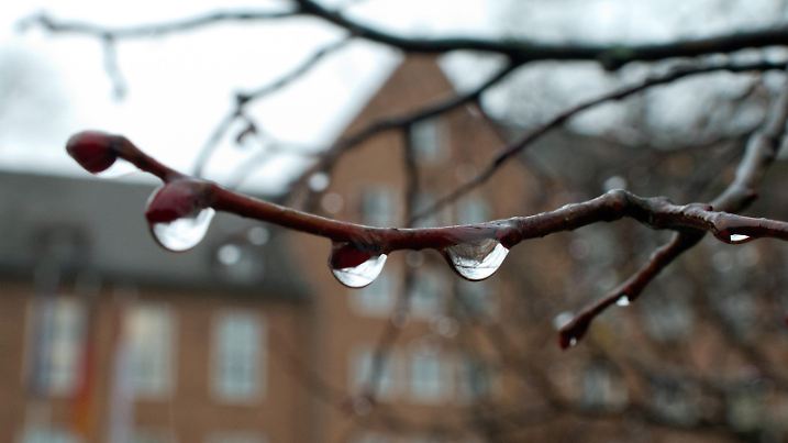 Regentropfen hängen am 20.11.2013 an einem Ast vor dem der Brandenburger Landtag in Potsdam (Brandenburg). Der Brandenburger Landtag tagt von Mittwoch bis Freitag zum letzen Mal auf dem Brauhausberg. Im neuen Jahr diskutieren die Abgeordneten im wiederaufgebauten Stadtschloss. Die Eröffnung ist nach dem Umzug für Mitte Januar geplant. Gut 20 Jahre saßen die Parlamentarier in der früheren SED-Bezirksleitung. Die Umzugskisten sollen zwischen dem 13. bis 17. Dezember in das neue Domizil gebracht werden. Foto: Patrick Pleul