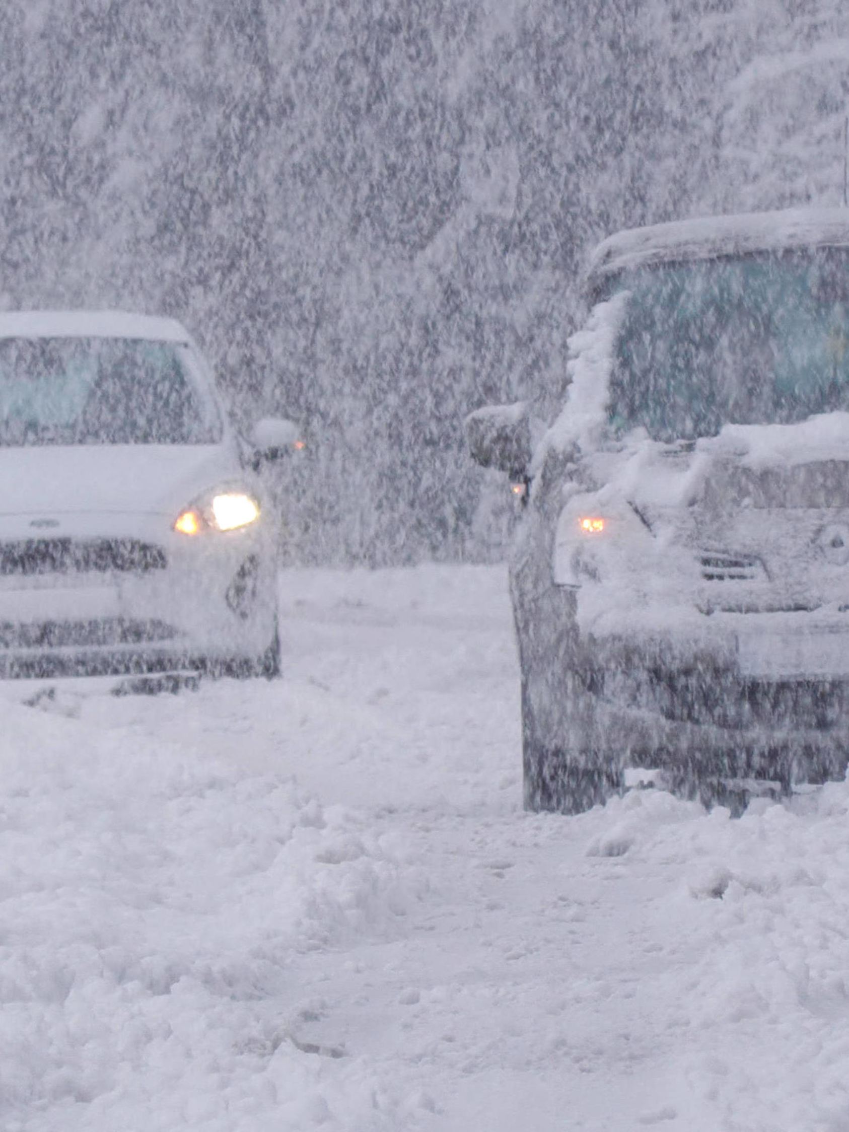 Mit diesen extremen Schneefällen keiner mehr gerechnet. Ein Schneetief sorgte am Sonntagmorgen und Sonntagvormittag für ein massives Schneechaos in Oberfranken. In wenigen Stunden fielen mehr als 25 cm Neuschnee - mehr als im gesamten Winter. Die Folge waren spürbar. Der Winterdienst war völlig überrascht und schaffte es nicht die Straßen zu beräumen. Auf der B 22 bei Erbendorf ging für Autofahrer stundenlang nix mehr. Sie saßen in ihren Fahrzeugen fest. Selbst mit Winterreifen ging es nicht mehr voran. Einige Autofahrer waren verzweifelt, hatten noch 600 Km Autofahrt vor sich on tape. Viele Straßen waren zudem wegen Schneebruch blockiert. Viele Bäume tragen schon Blätter und knickten um. Die Feuerwehren waren im Dauereinsatz.