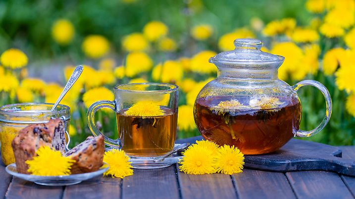 Healthy dandelion flower tea in a glass teapot on the wooden table along with sweet jam and cherry muffin in the spring garden, close up