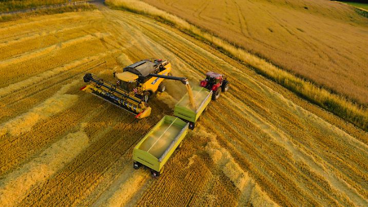News Bilder des Tages Ernte Getreidernte auf einem Feld bei Babisnau am Dresdner Stadtrand. Babisnau Sachsen GERMANY *** Harvest Grain harvest on a field near Babisnau on the outskirts of Dresden Babisnau Saxony GERMANY