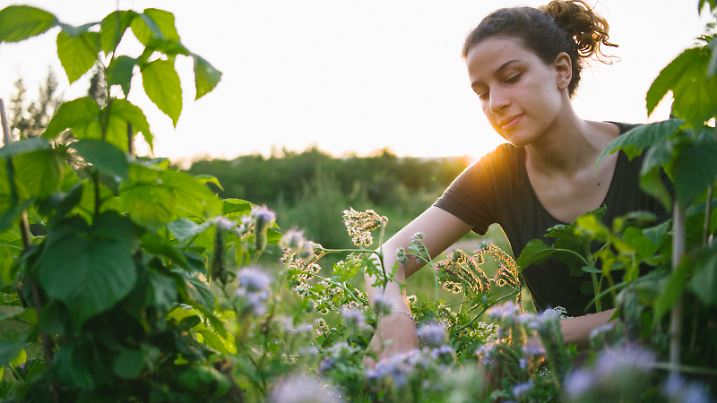 organic, Gardening, Beet, woman, sustainable, , Summer, urban gardening,