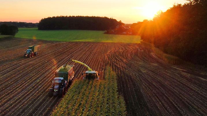 Landwirtschaft - Wetter - Sonne - Sonnenuntergang - Ernte - Mais - Maisernte - Herbst - Silomais - Erntearbeiten in Meilsdorf/Stormarn am 30.09.2020 Luftbilder mit der Drohne