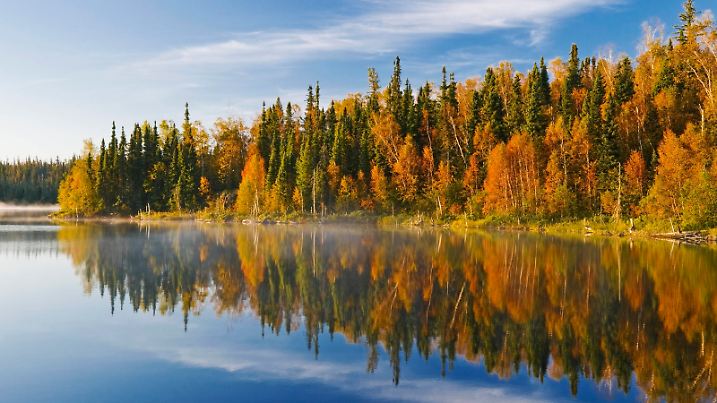 Autumn, Dickens Lake, Saskatchewan, Canada  PUBLICATIONxNOTxINxUSA Copyright: x xAllxCanadaxPhotosx 1990-72227