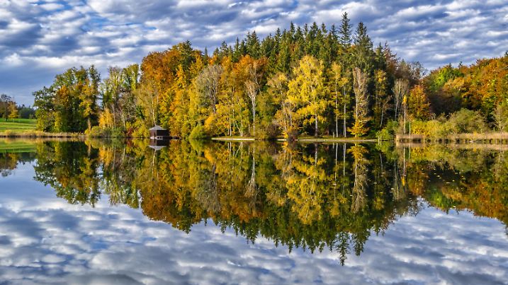 Haarsee im Herbst, Deutschland, Bayern, Oberbayern, Weilheim | Haarsee lake in autumn, Germany, Bavaria, Oberbayern, Upper Bavaria, Weilheim