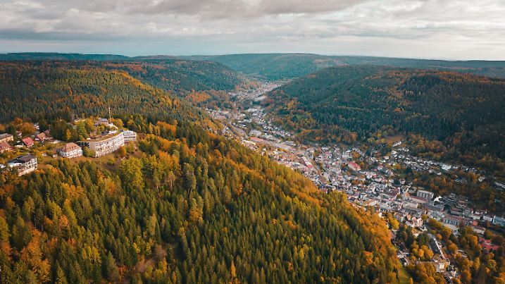 Luftbild des Sommerberg im Herbstwald, Bad Wildbad, Schwarzwald, Deutschland, Europa