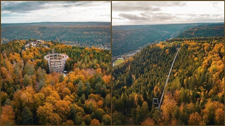 Wildline Hängebrücke und Baumwipfelpad in Bad Wildbad im Schwarzwald.