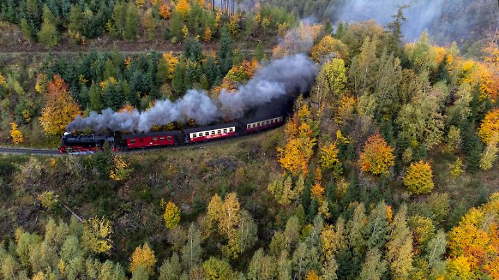 A steam train drives through the autumnal colors 'Harz' forest near Wernigerode, Germany, Monday, Nov. 6, 2023. (AP Photo/Matthias Schrader)